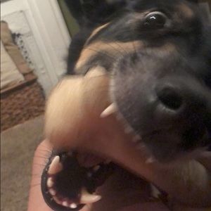 Meet your Posher, Faith